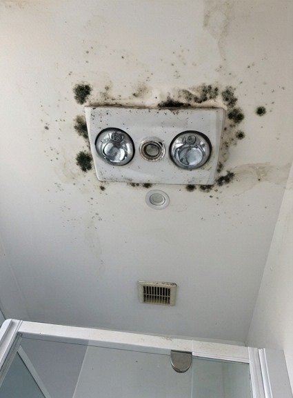 Bathroom ceiling with mould before